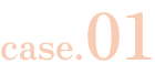 case.01