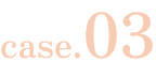 case.03