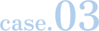 case.03